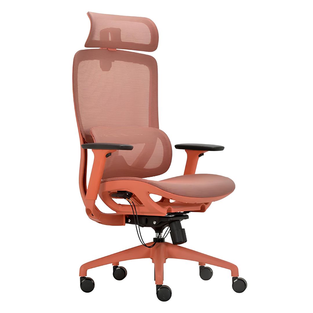 Director armchair