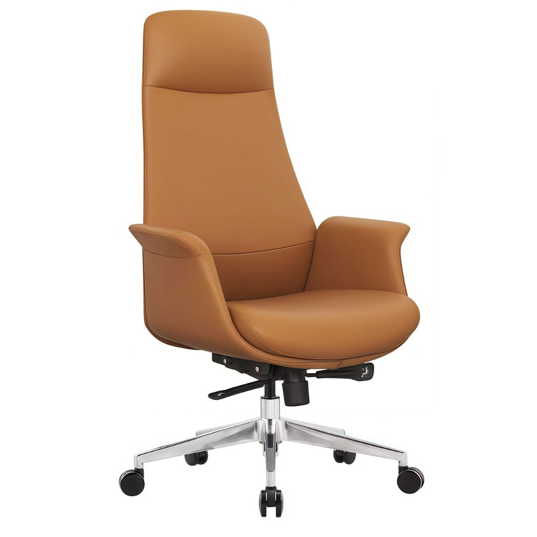 Director armchair