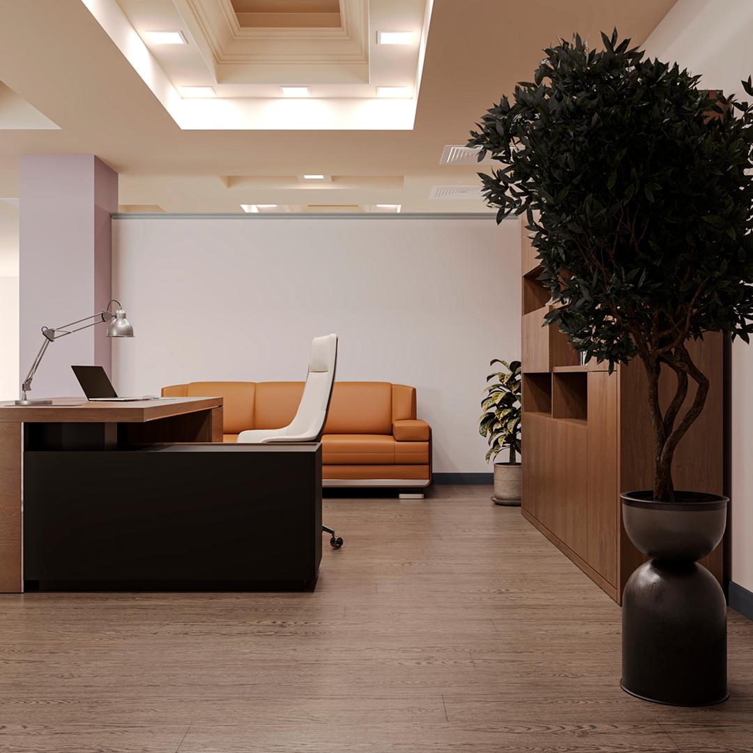 Ղեկավարի գրասեղան 4